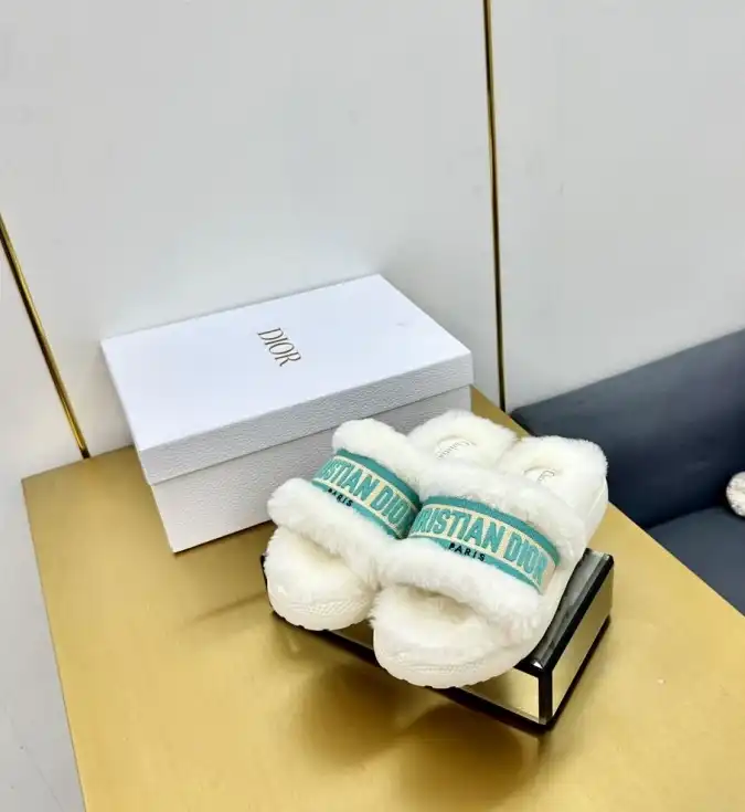 hype Christian Dior Slippers