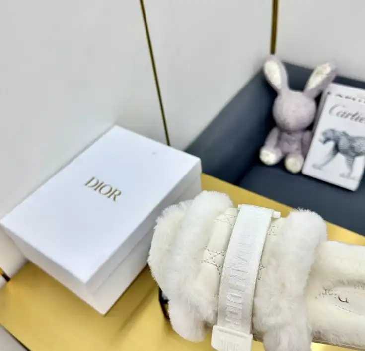 hype Christian Dior Slippers