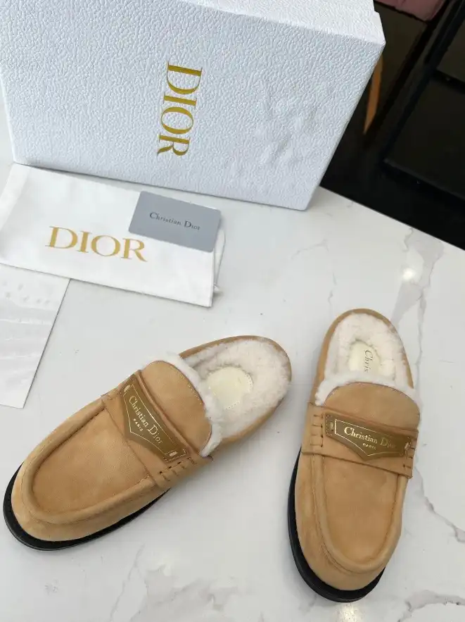 hype Christian Dior Slippers