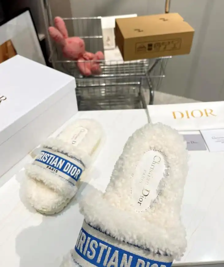 hype Christian Dior Slippers