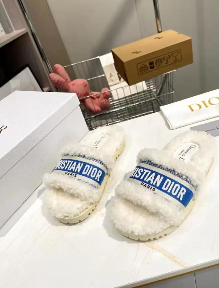 hype Christian Dior Slippers