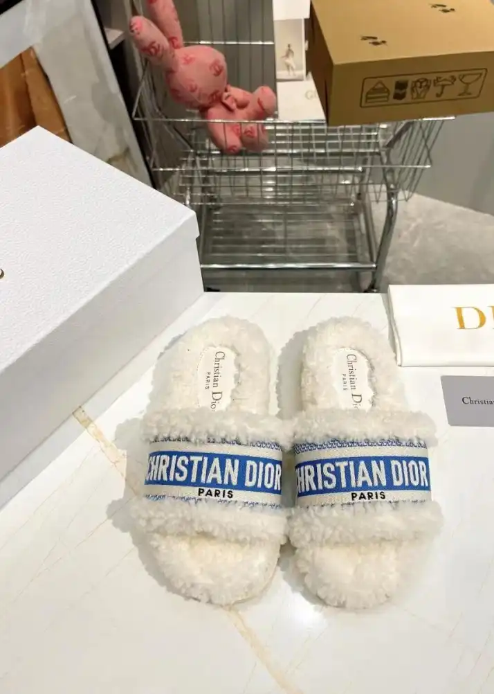 hype Christian Dior Slippers