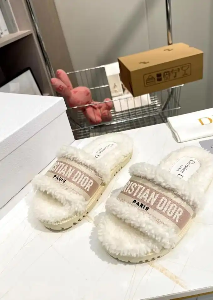 hype Christian Dior Slippers