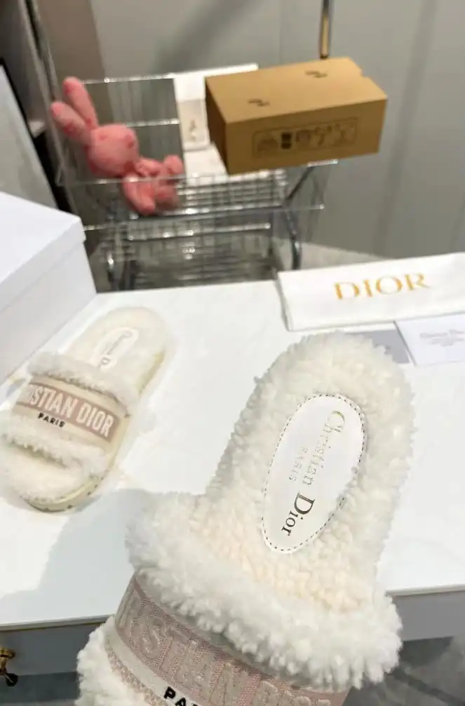 hype Christian Dior Slippers