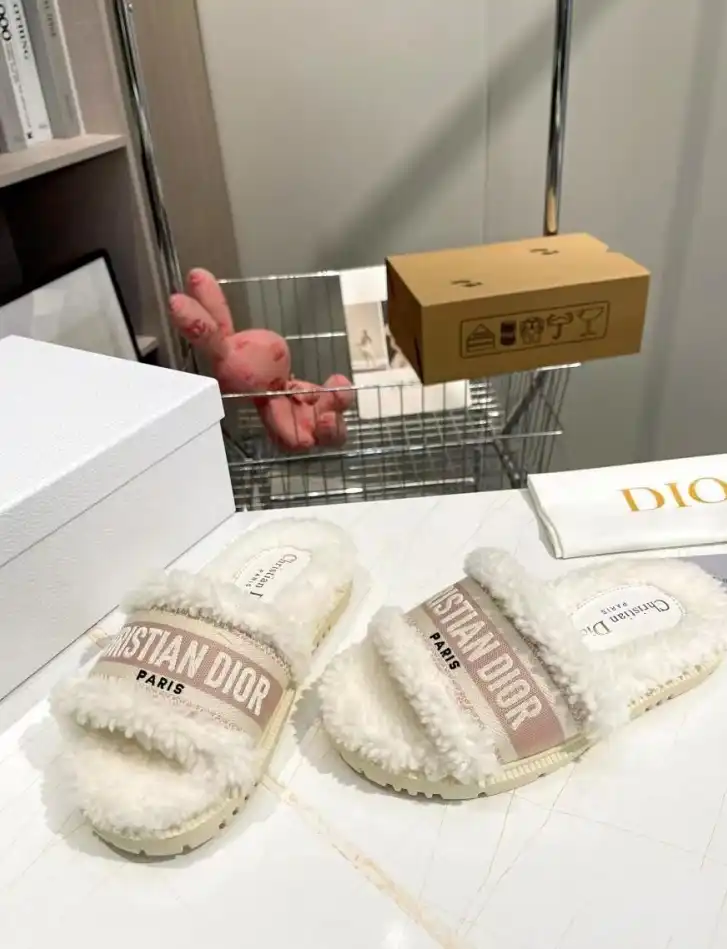 hype Christian Dior Slippers