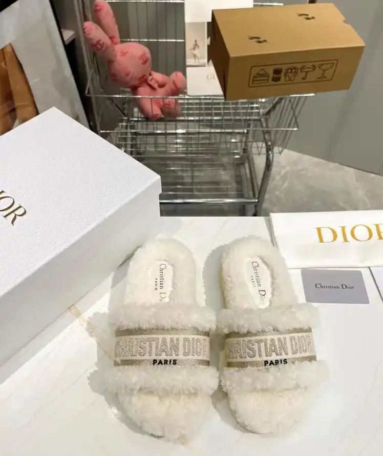 hype Christian Dior Slippers