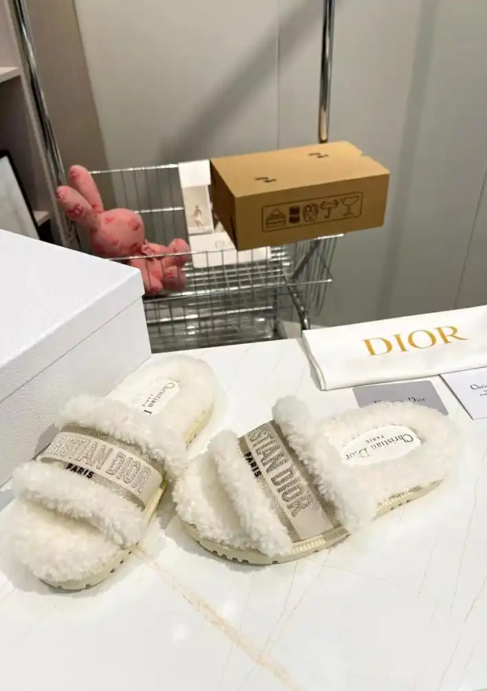 hype Christian Dior Slippers