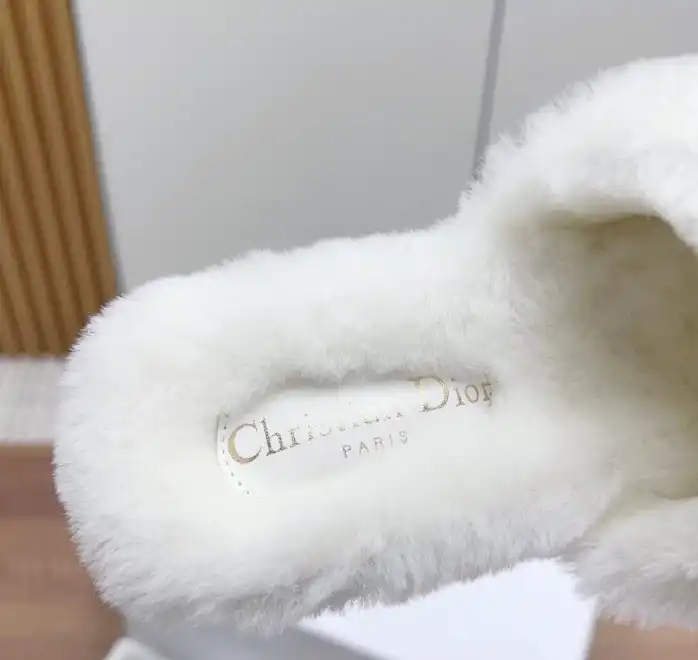 hype Christian Dior Slippers