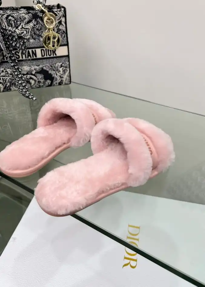 hype Christian Dior Slippers