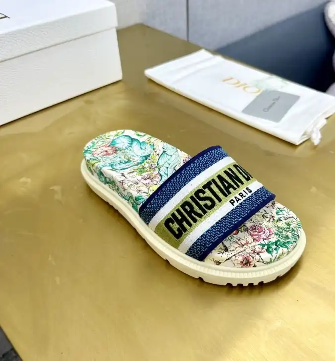 hype Christian Dior Slippers