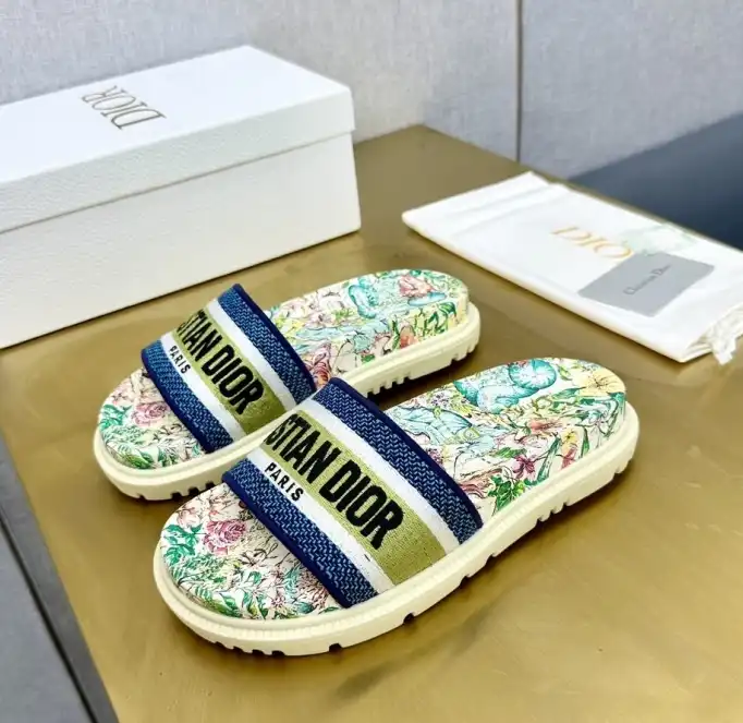 hype Christian Dior Slippers