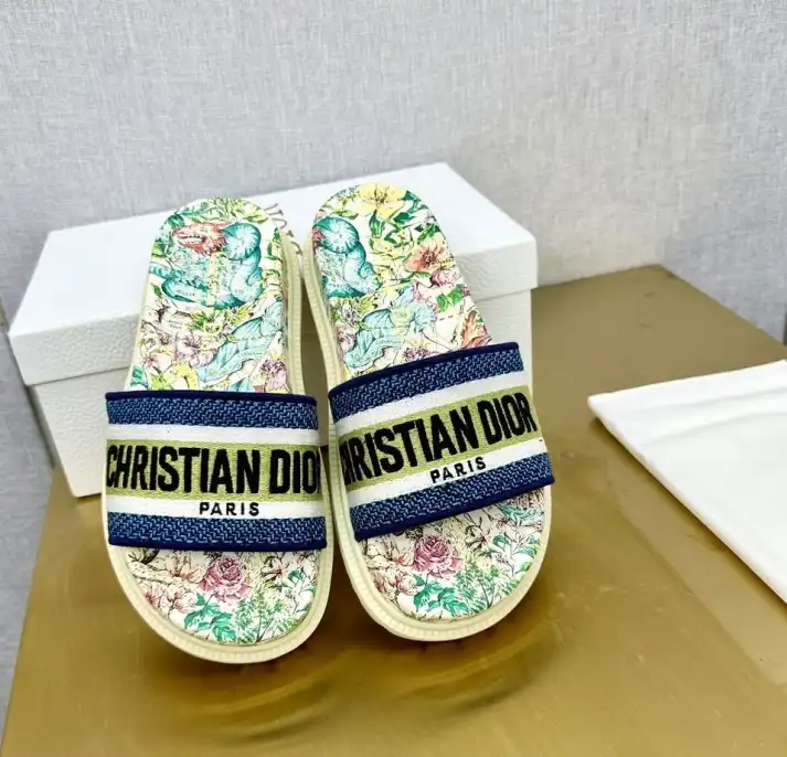 hype Christian Dior Slippers