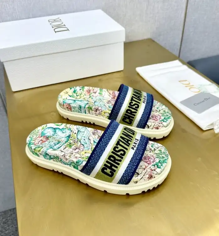 hype Christian Dior Slippers