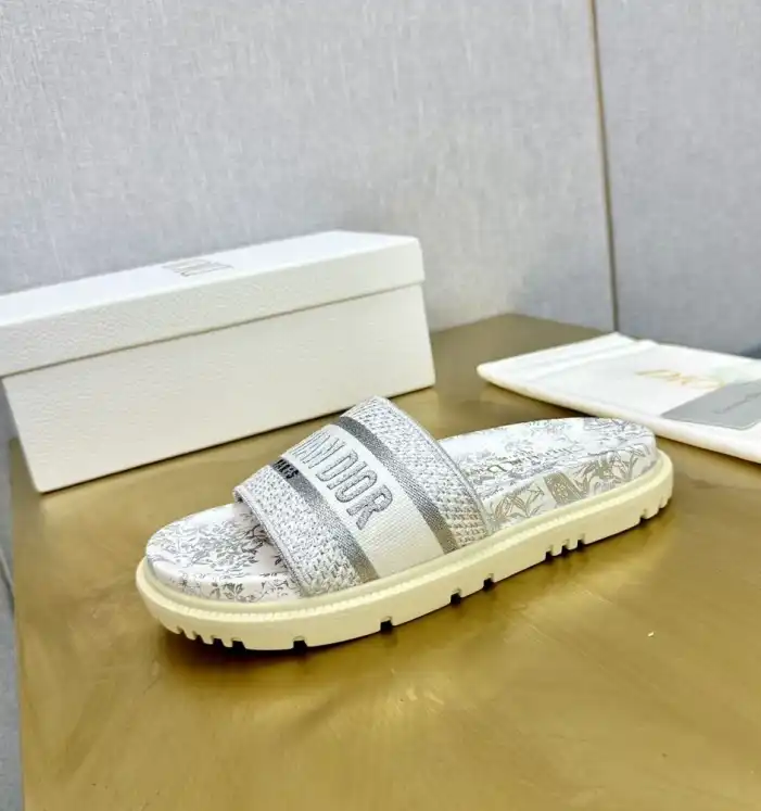 hype Christian Dior Slippers