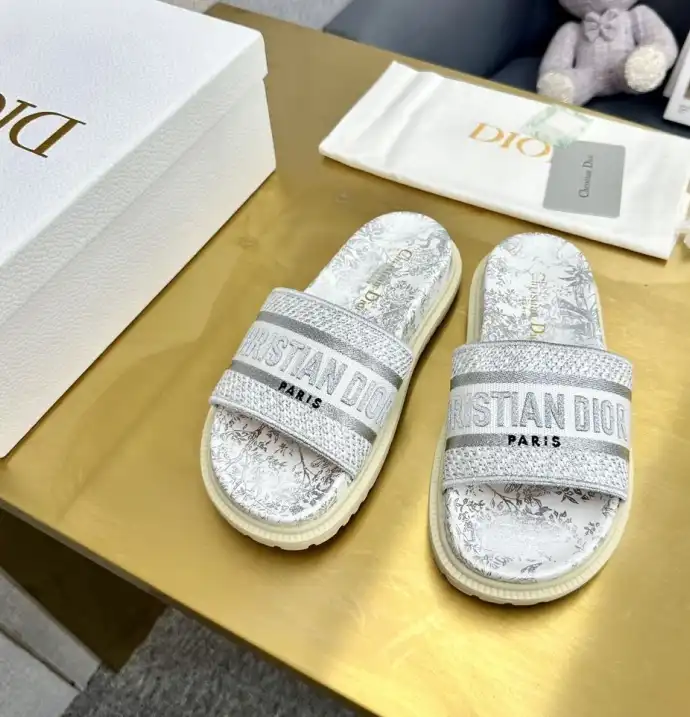 hype Christian Dior Slippers