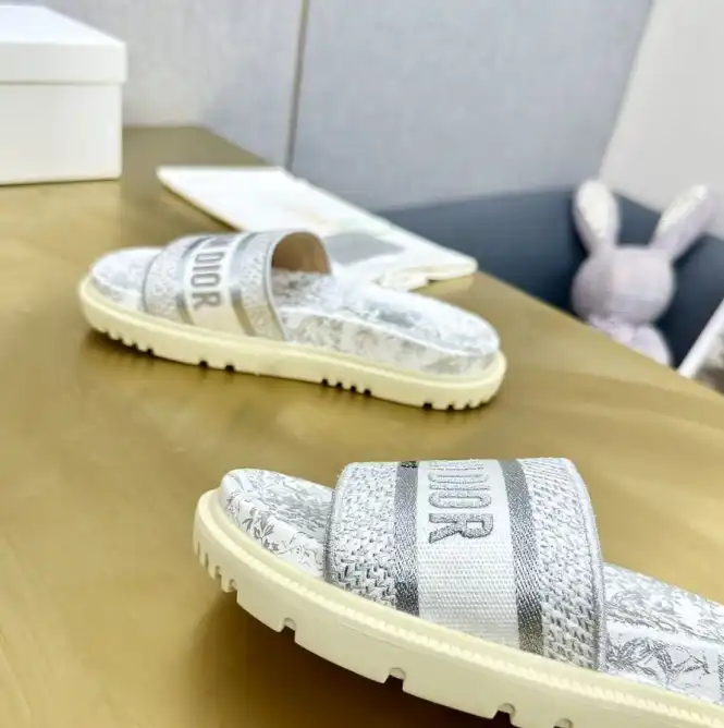 hype Christian Dior Slippers