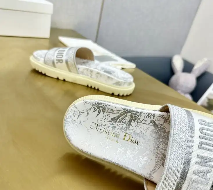 hype Christian Dior Slippers