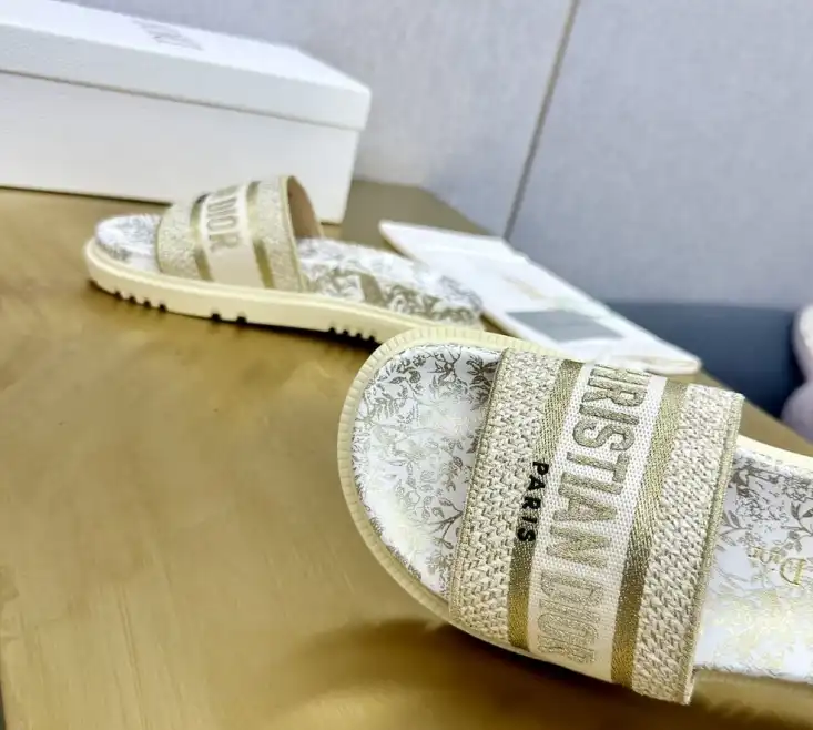 hype Christian Dior Slippers