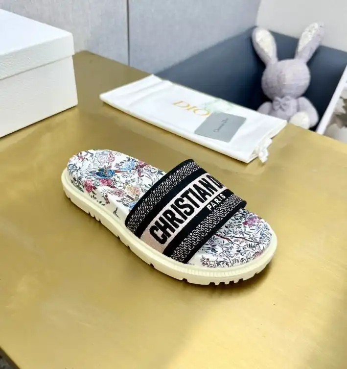 hype Christian Dior Slippers