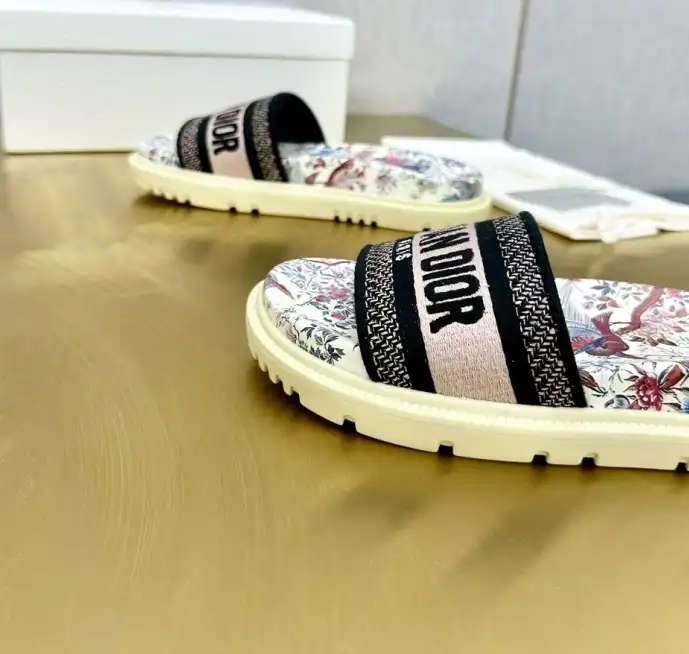 hype Christian Dior Slippers