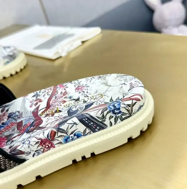 hype Christian Dior Slippers