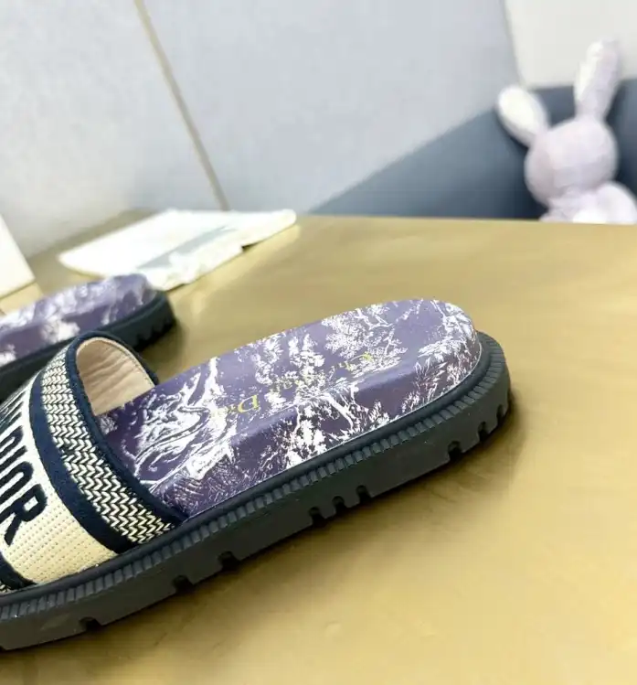 hype Christian Dior Slippers