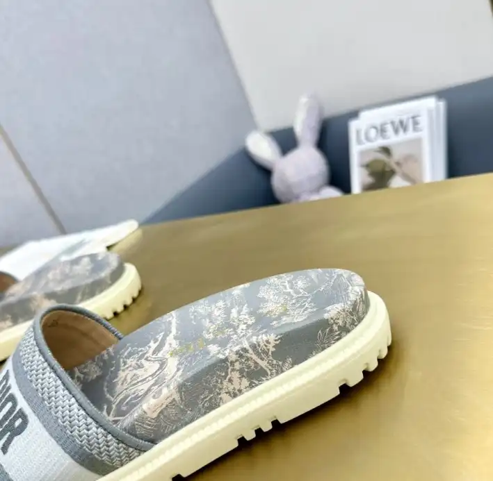 hype Christian Dior Slippers