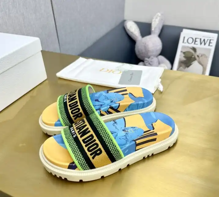 hype Christian Dior Slippers