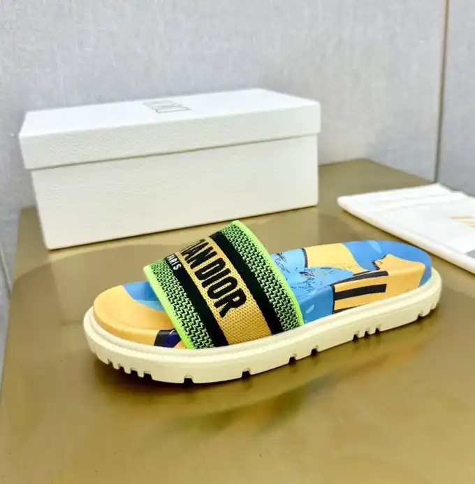 hype Christian Dior Slippers