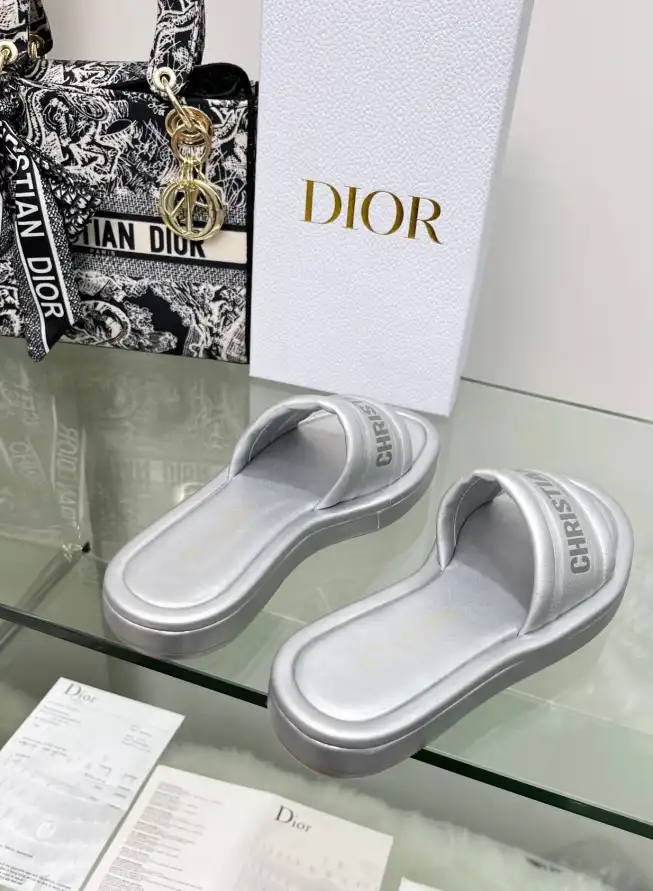 hype Christian Dior Slippers