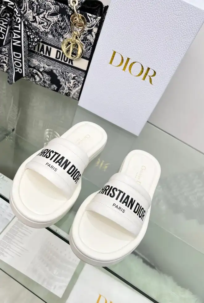 hype Christian Dior Slippers