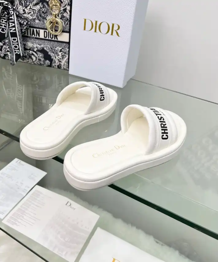 hype Christian Dior Slippers