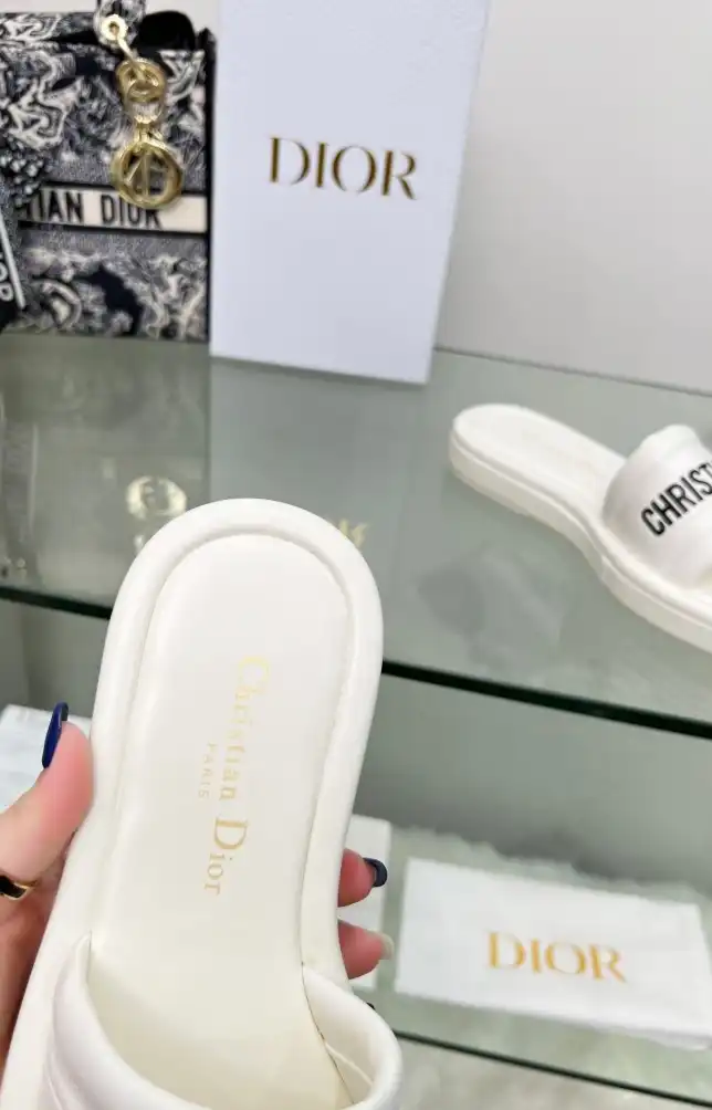 hype Christian Dior Slippers