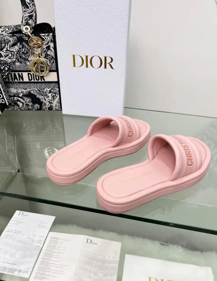 hype Christian Dior Slippers