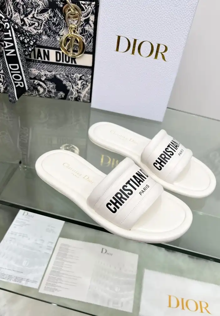 hype Christian Dior Slippers