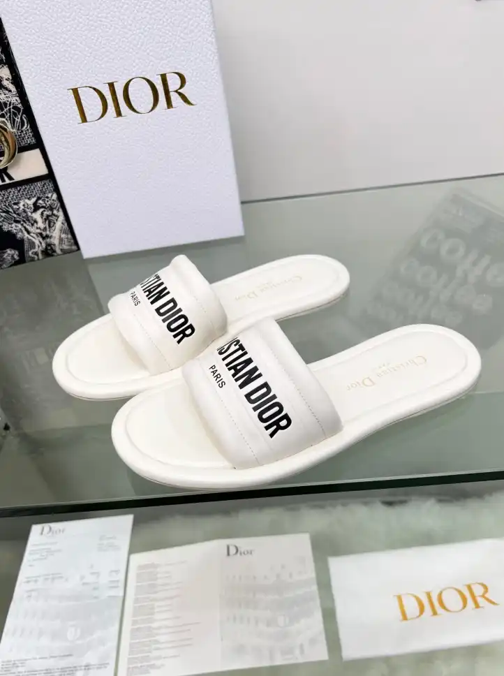 hype Christian Dior Slippers