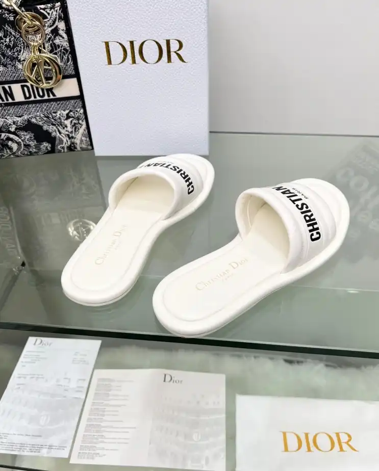 hype Christian Dior Slippers