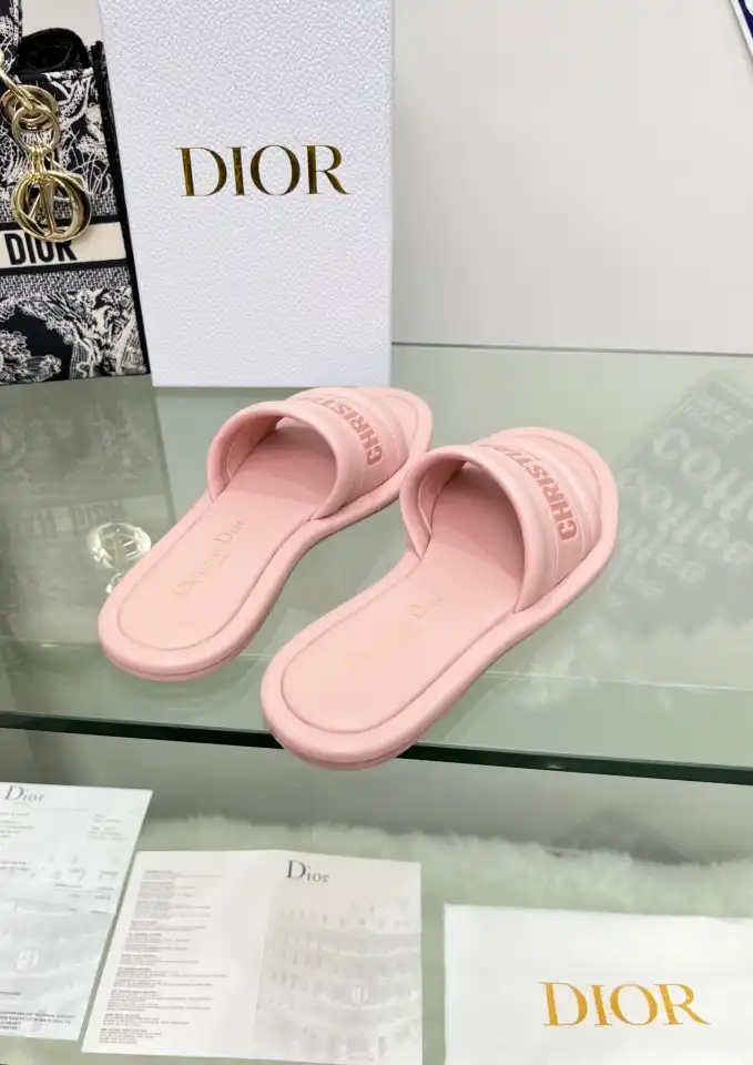 hype Christian Dior Slippers