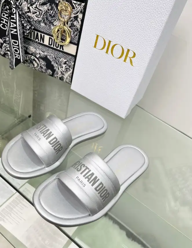 hype Christian Dior Slippers