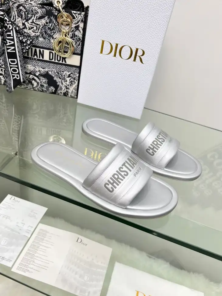 hype Christian Dior Slippers