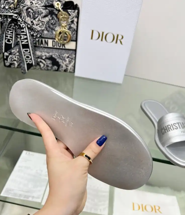 hype Christian Dior Slippers