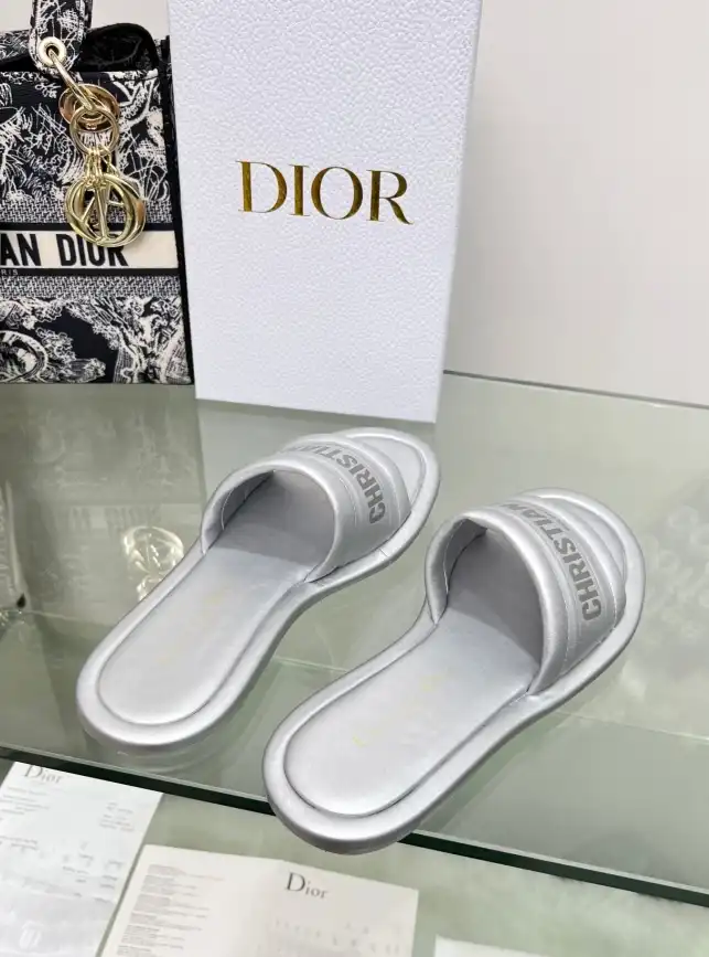 hype Christian Dior Slippers