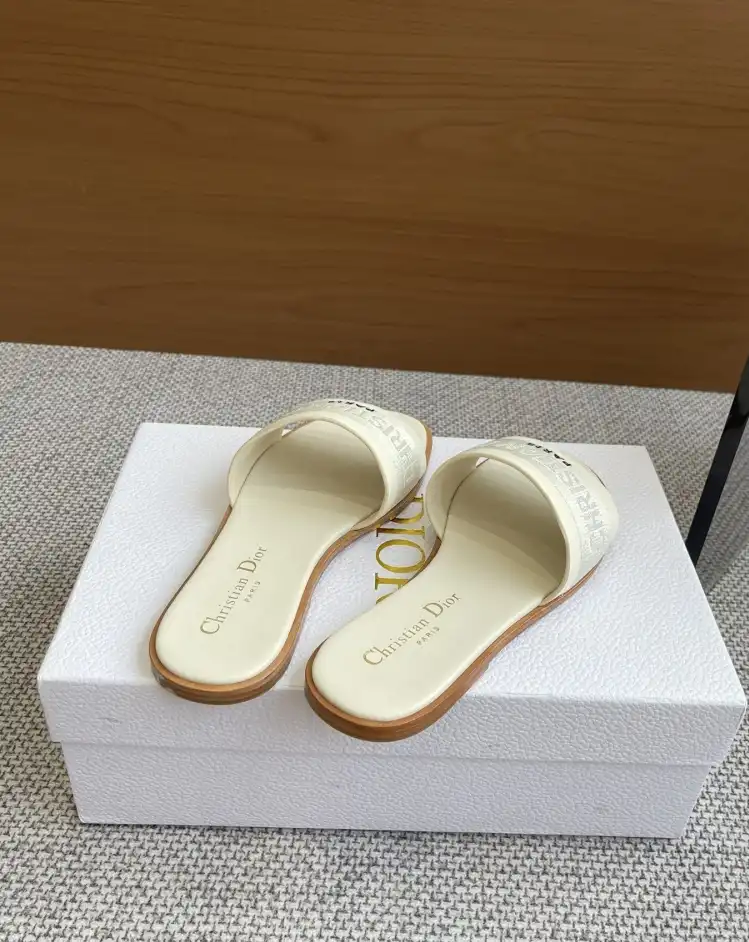 hype Christian Dior Slippers