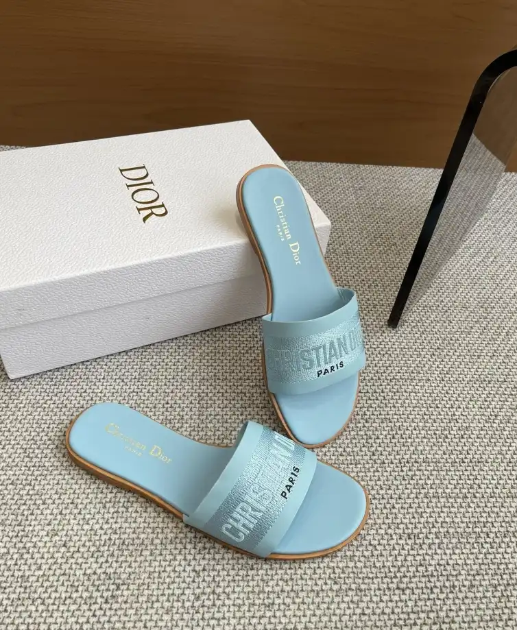 hype Christian Dior Slippers