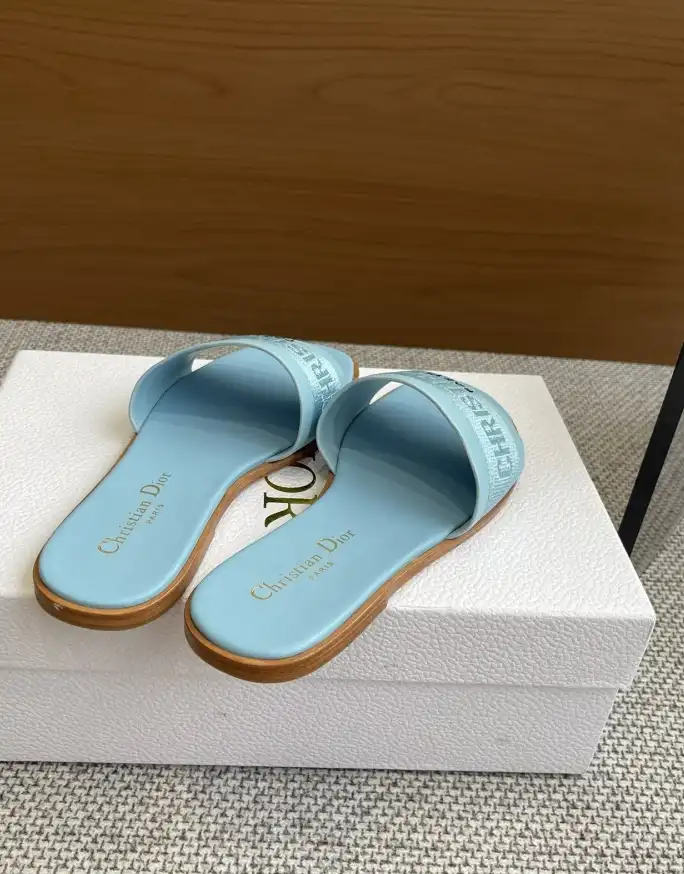 hype Christian Dior Slippers