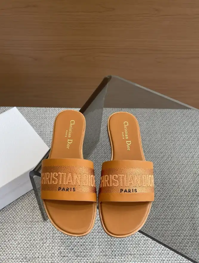 hype Christian Dior Slippers