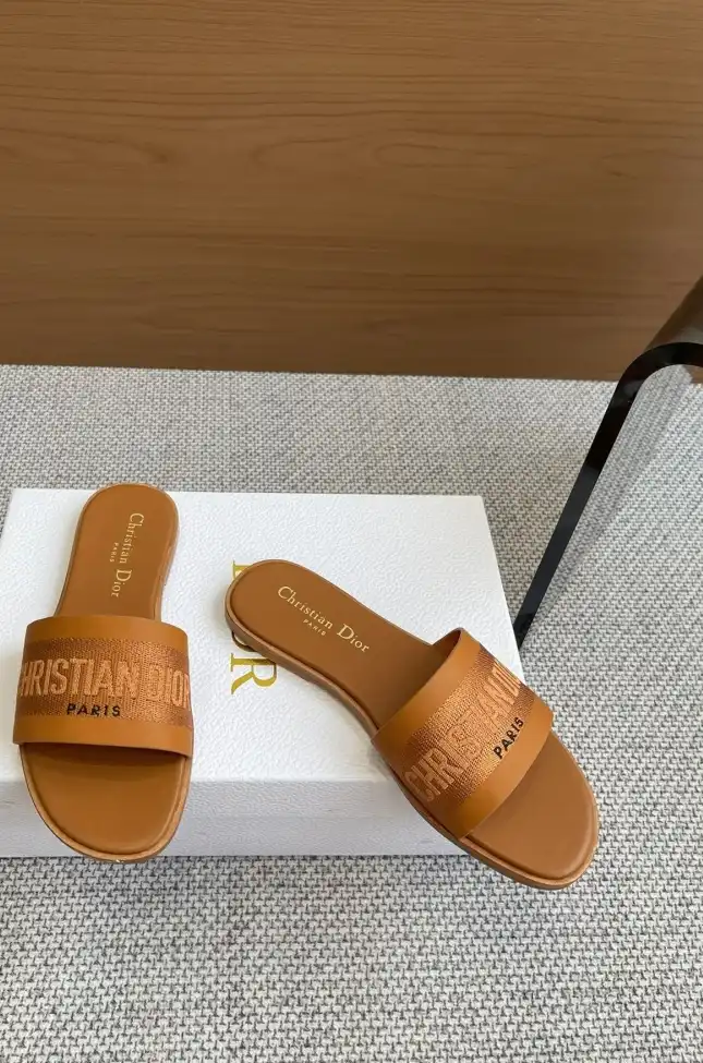 hype Christian Dior Slippers