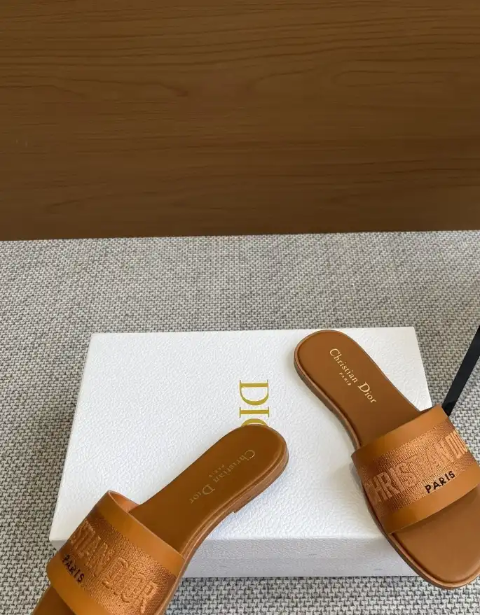 hype Christian Dior Slippers