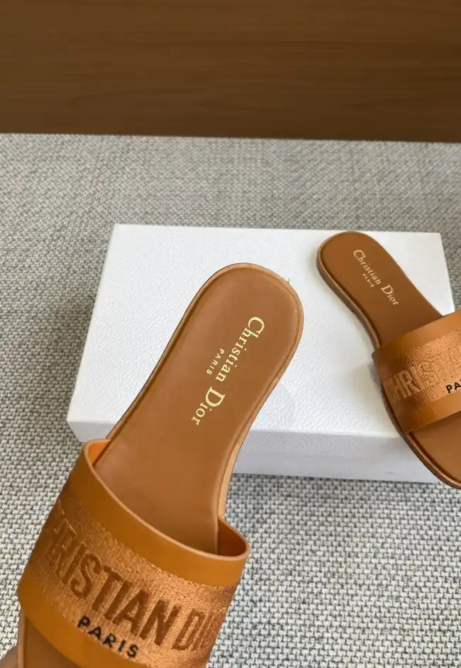 hype Christian Dior Slippers