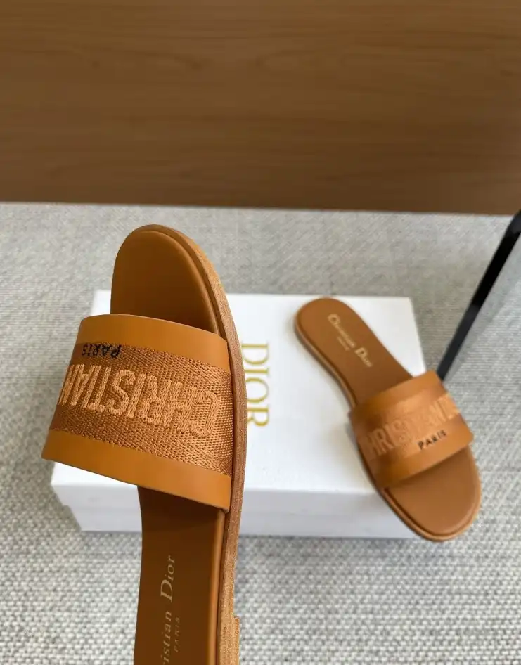 hype Christian Dior Slippers